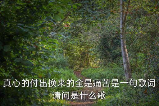 真心的付出換來的全是痛苦是一句歌詞請問是什么歌