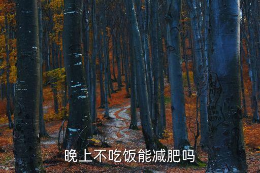 晚飯不吃能減肥嗎，晚上不吃飯可以減肥嗎