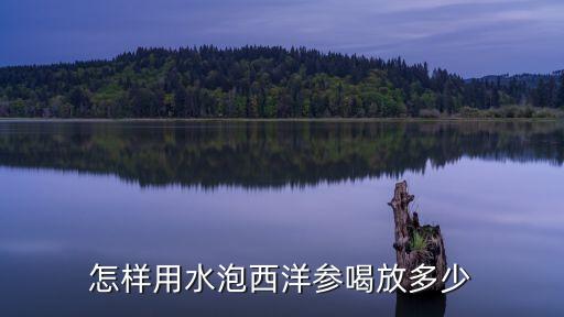 西洋參片一次泡多少片，怎樣用水泡西洋參喝放多少