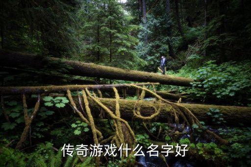 傳奇游戲名，起個個性傳奇游戲名字