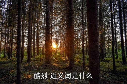 酷烈 近義詞是什么