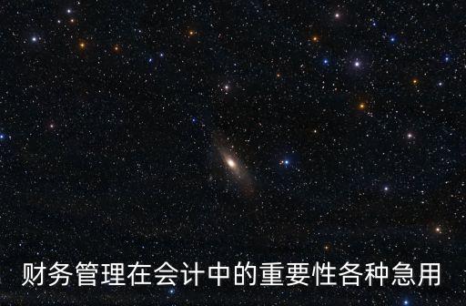 財(cái)務(wù)管理在會(huì)計(jì)中的重要性各種急用