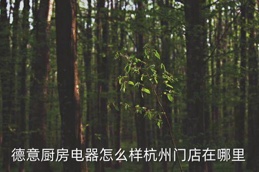 德意廚房電器怎么樣杭州門(mén)店在哪里