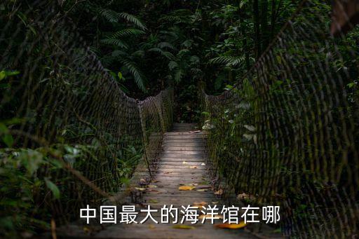 中國最大的海洋館在哪