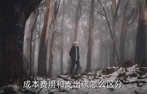費用支出，費用支出如何處理一般為服務行業