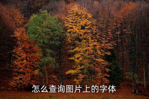 怎么查詢圖片上的字體