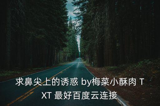 鼻尖上的誘惑，請問各位理想可以比喻成什么呢