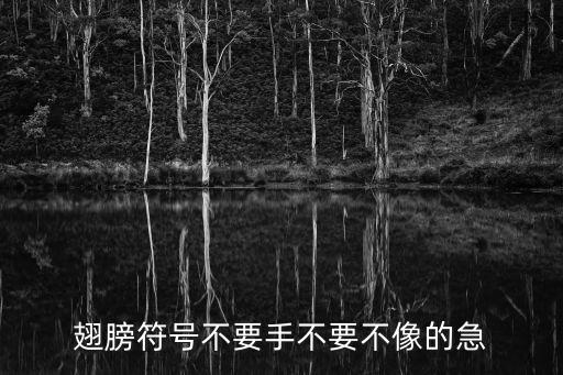 小天使翅膀符號，翅膀符號不要手不要不像的急