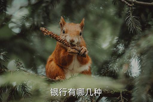 銀行種類，全球有多少種銀行啊