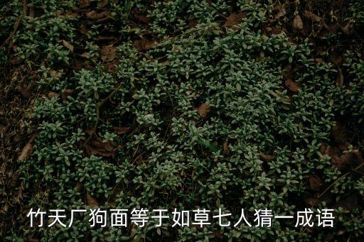 竹天廠狗面等于如草七人猜一成語