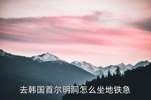 首爾明洞，首爾明洞大街有什么特色嗎