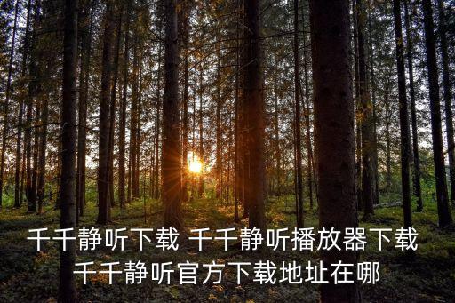 千千靜聽下載 千千靜聽播放器下載 千千靜聽官方下載地址在哪