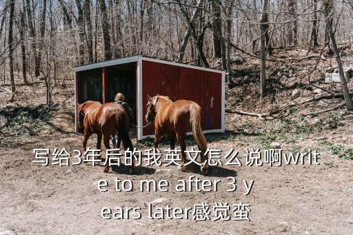 寫給3年后的我英文怎么說啊write to me after 3 years later感覺蠻