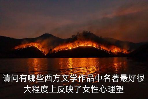 請問有哪些西方文學作品中名著最好很大程度上反映了女性心理塑