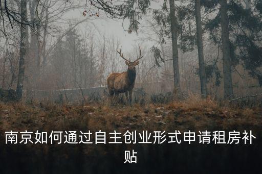 南京租房補貼，南京如何通過自主創業形式申請租房補貼