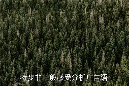 特步廣告語，特步的廣告語是什么
