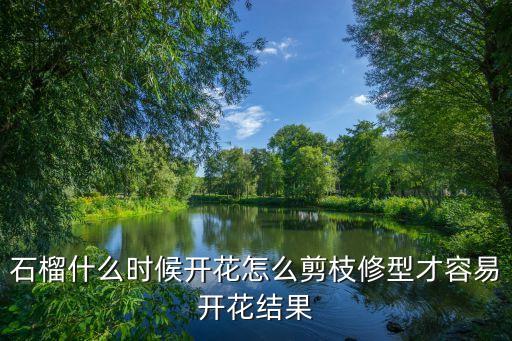 石榴什么時(shí)候開花怎么剪枝修型才容易開花結(jié)果