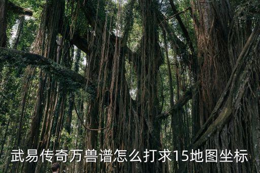 姐姐吉他譜，電吉他譜卡農