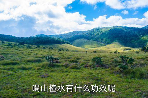 喝山楂泡水有什么功效，喝山楂水有什么功效呢