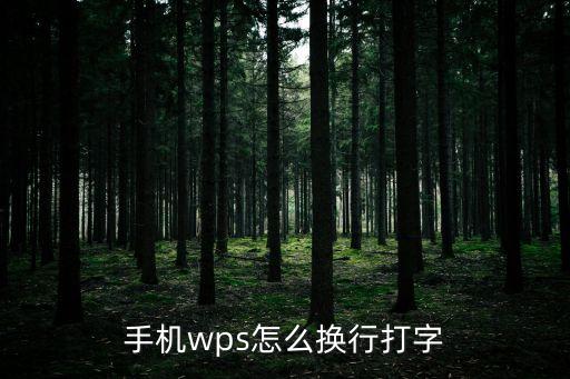 手機(jī)wps怎么換行打字
