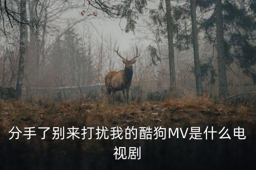 分手了別來打擾我，分手了別來打擾我誰唱的