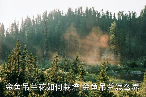 金魚吊蘭怎么養(yǎng)才開花，金魚吊蘭催花