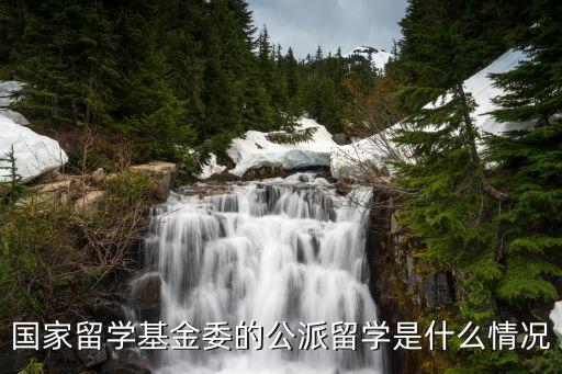 公派研究生，急如何申請公派留學(xué)研究生有加分