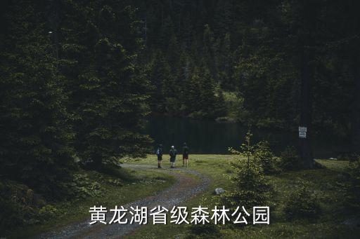 黃龍湖，黃龍湖森林公園是屬于那個省