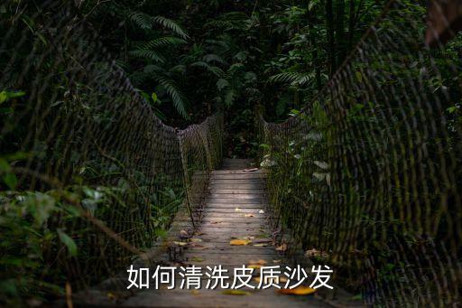 皮沙發怎么清洗，怎樣清潔皮質沙發