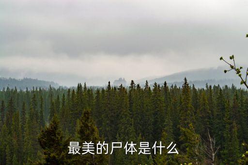 最美的尸體是什么