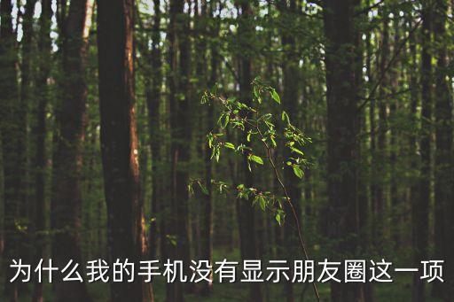微信沒有朋友圈，為什么我的手機沒有顯示朋友圈這一項