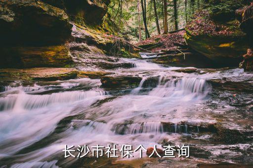 長沙社保12333官網，長沙勞動社會保障局