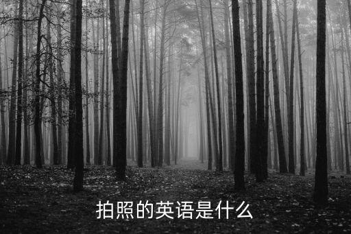 攝影英語，照相用英語怎么說