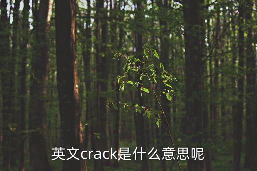 crack是什么意思，英文crack是什么意思呢