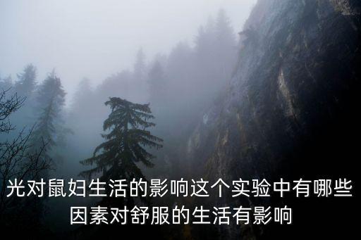 光對鼠婦生活的影響這個實驗中有哪些因素對舒服的生活有影響