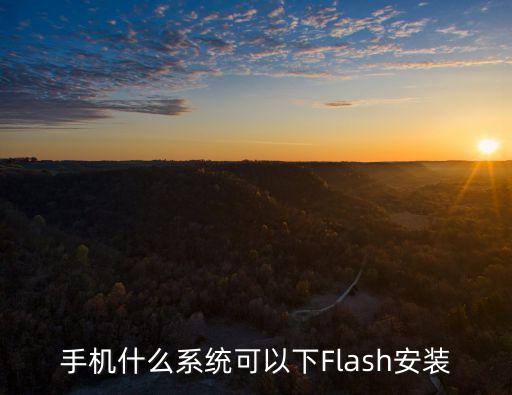 手機flash，如何在手機上安裝fLash軟件