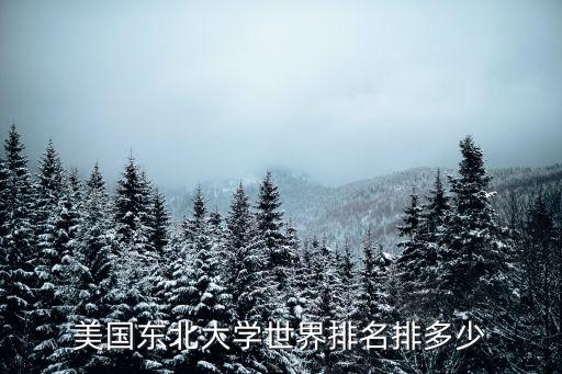 美國東北大學世界排名排多少