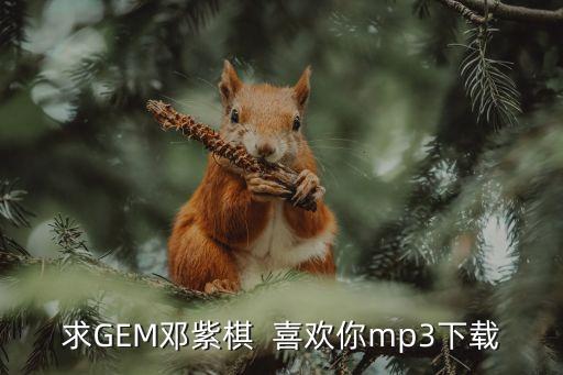 求GEM鄧紫棋  喜歡你mp3下載