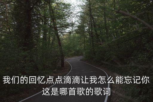 我們的回憶點點滴滴讓我怎么能忘記你這是哪首歌的歌詞