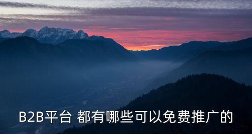 免費b2b平臺推廣，B2B平臺 都有哪些可以免費推廣的
