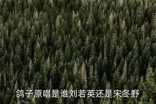 鴿子宋冬野，宋冬野鴿子空間歌曲鏈接
