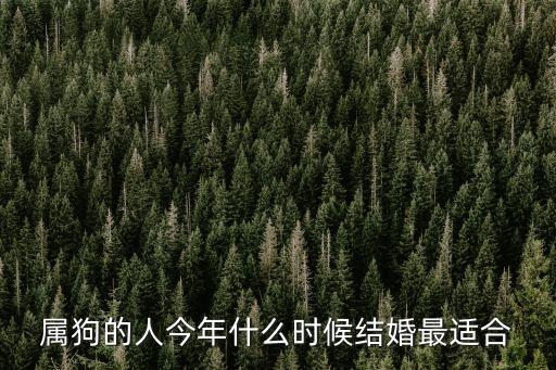 屬狗的人今年什么時(shí)候結(jié)婚最適合