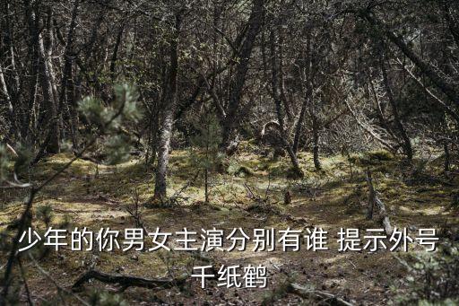 趙潤南，少年的你男女主演分別有誰 提示外號千紙鶴