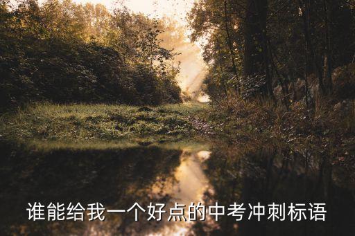 中考標語，初三九班要吸引人點的不要老是什么爭第一什么的 中考口號 快快