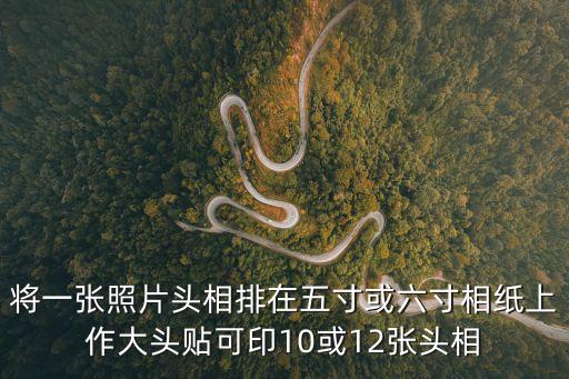 本步，將一張照片頭相排在五寸或六寸相紙上作大頭貼可印10或12張頭相