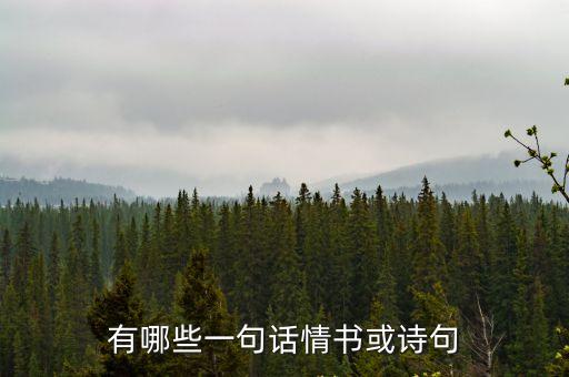 一句話情書，有哪些一句話情書或詩句