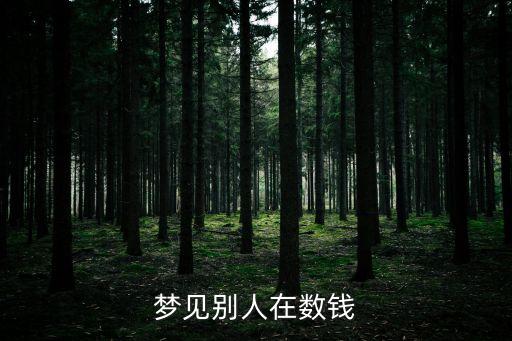夢見別人數錢，懷孕夢見別人在我面前數錢好不好
