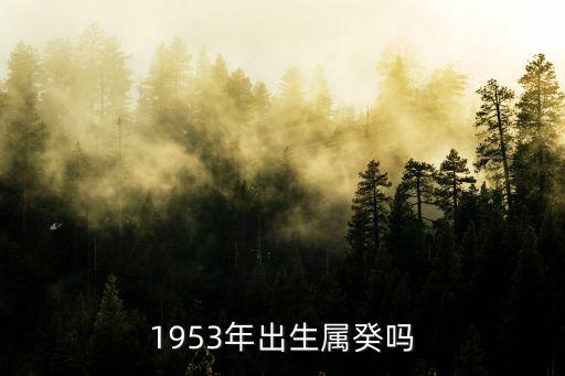 1953年出生屬癸嗎