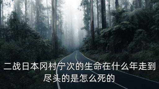 岡村寧次回憶錄，你們好我是崗村寧次戰(zhàn)爭(zhēng)結(jié)束了