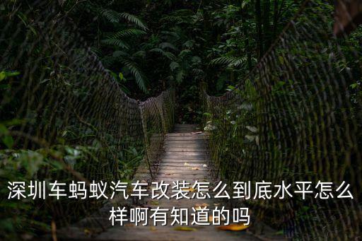 深圳車螞蟻汽車改裝怎么到底水平怎么樣啊有知道的嗎